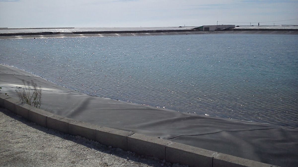 Muere ahogado un niño de 9 años en una balsa de agua en El Ejido Muere ahogado un niño de 9 años en una balsa de agua en El Ejido