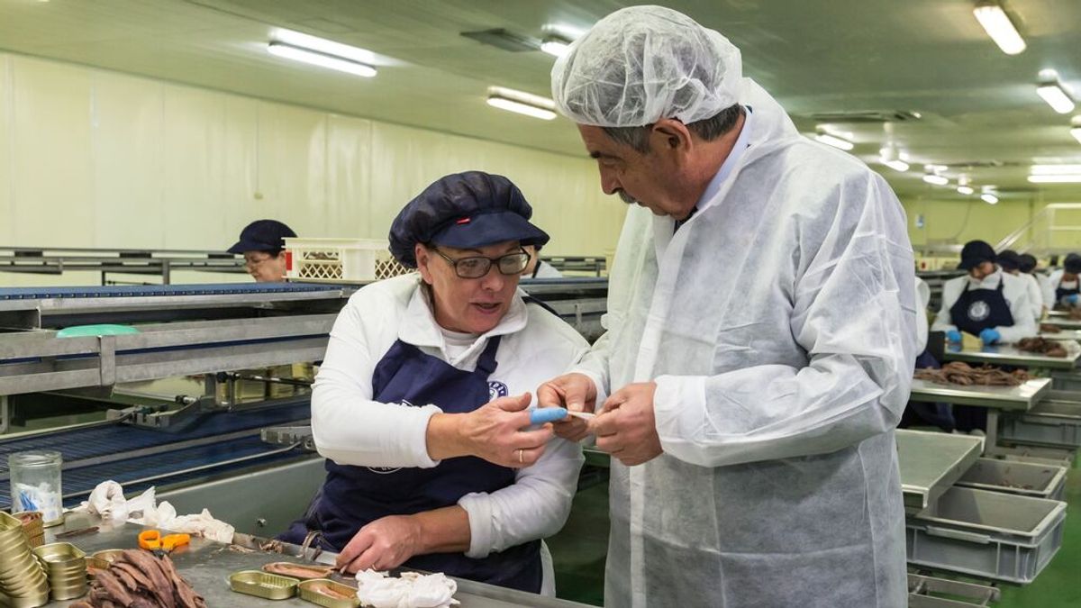 Revilla, a favor de crear una Denominación de Origen para la anchoa del Cantábrico: "Es necesario" Revilla, a favor de crear una Denominación de Origen para la anchoa del Cantábrico: "Es necesario"