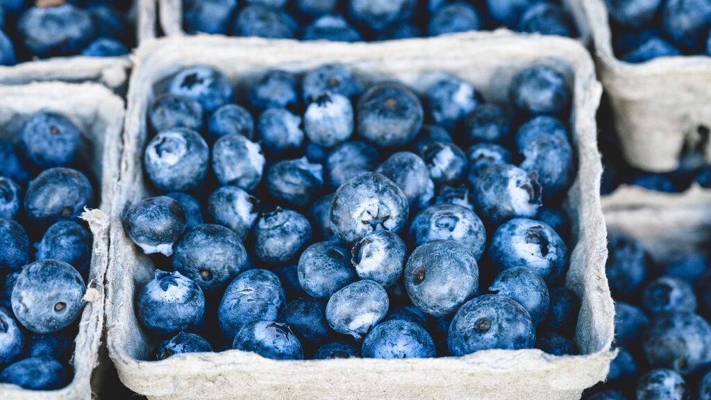 blueberries-gf508220fd_1920