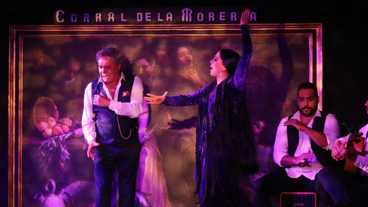 El PP pide al Gobierno introducir el flamenco en los ciclos formativos y certificados de FP El PP pide al Gobierno introducir el flamenco en los ciclos formativos y certificados de FP