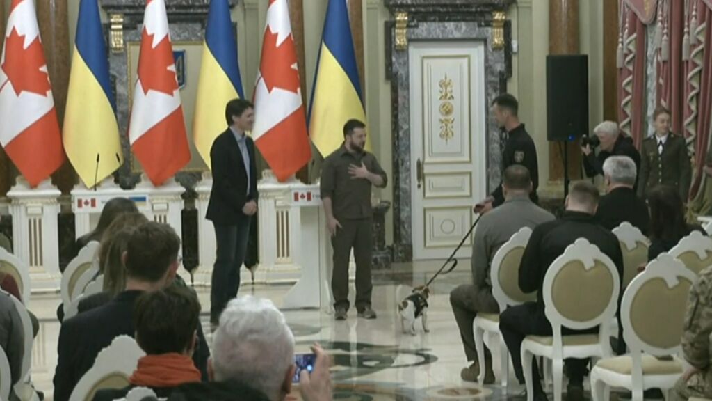Volodímir Zelenski condecora al perro Patron por buscar minas en Ucrania