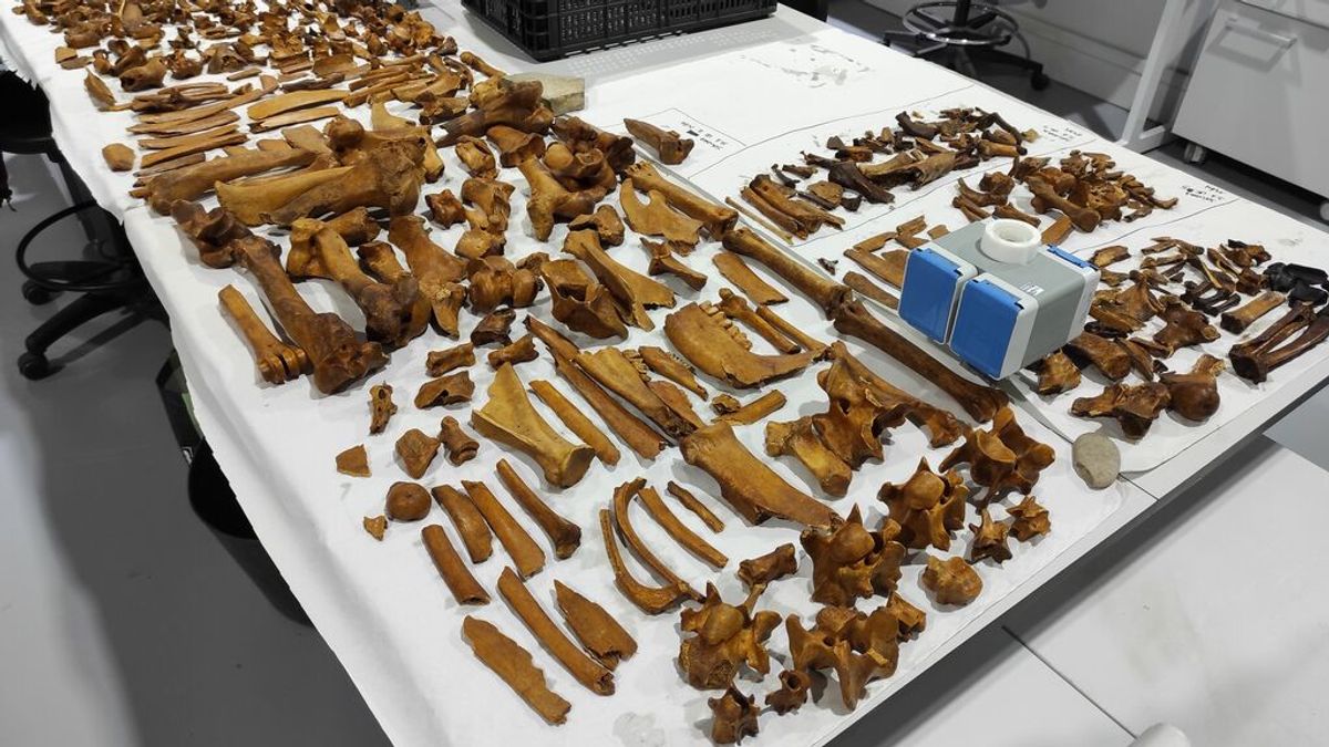 Descubren un importante yacimiento romano en la isla de Sálvora que podría corresponder a una factoría de salazón Descubren un importante yacimiento romano en la isla de Sálvora que podría corresponder a una factoría de salazón