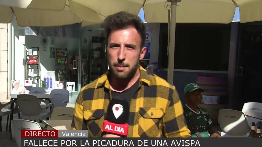 Fallece una mujer en Alicante tras la picadura de una avispa