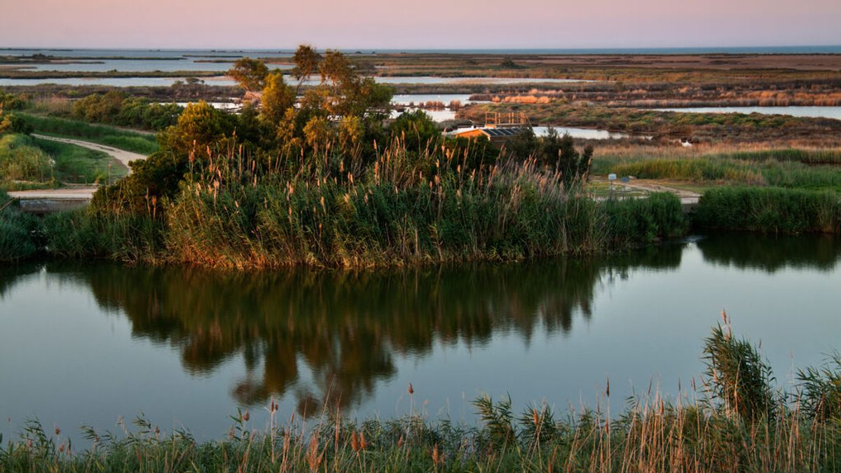 Delta_Ebre5 Delta_Ebre5