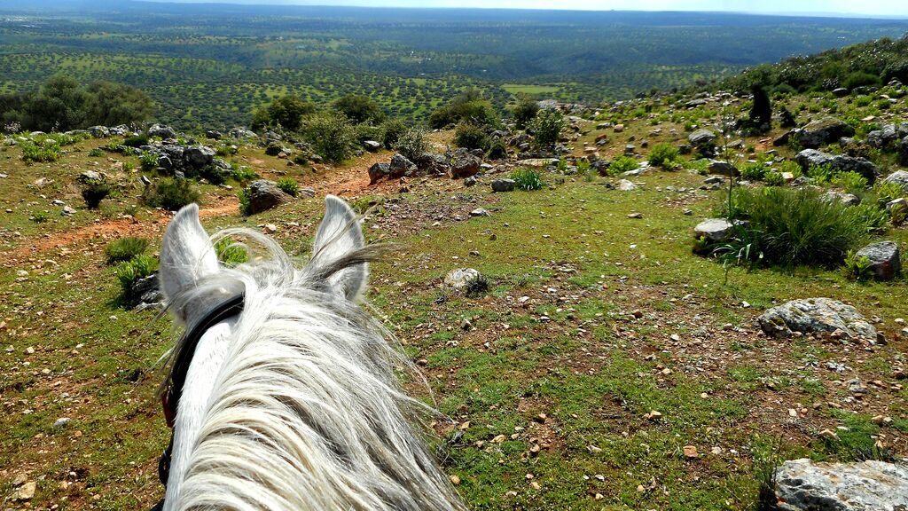 Parque_Nacional_de_Monfragüe_a_vista_de_caballo