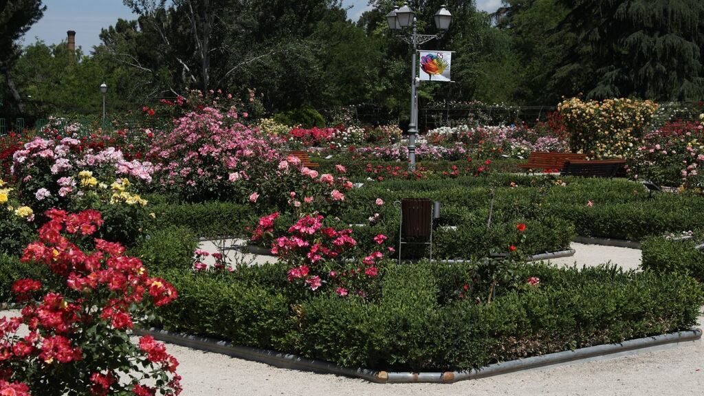 rosaleda2-1500x1000