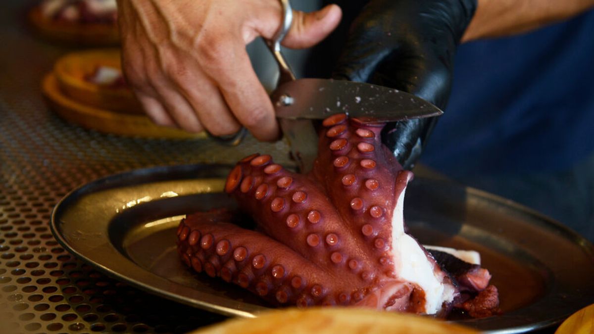 Galicia no comercializará pulpo fresco durante seis semanas Galicia no comercializará pulpo fresco durante seis semanas