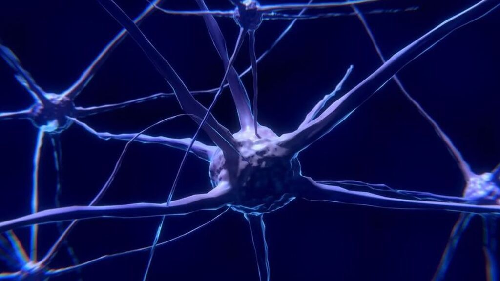Encuentran evidencias de que el líquido cerebral joven podría ayudar a combatir la pérdida de memoria