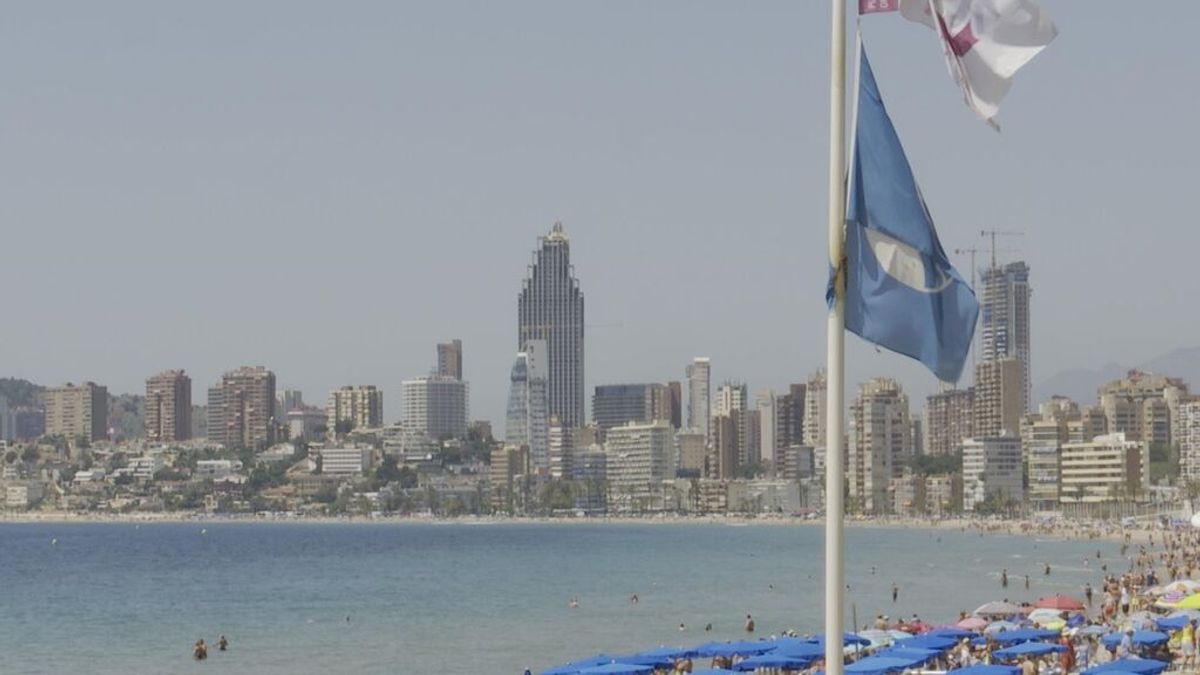 Benidorm pierde la bandera azul de su Playa de Poniente y presentará alegaciones para recuperarla Benidorm pierde la bandera azul de su Playa de Poniente y presentará alegaciones para recuperarla