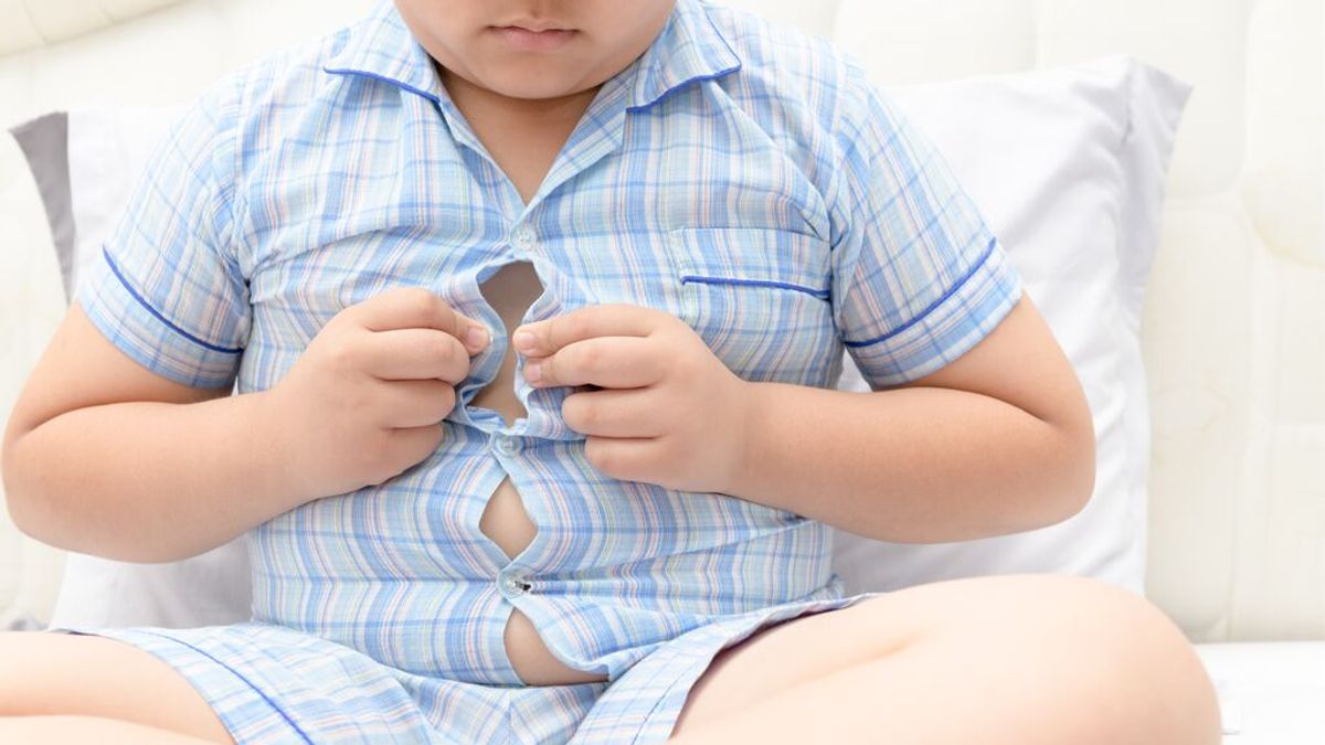 Detectan en escolares contaminantes que entran en el organismo a través de alimentos y provocan obesidad Detectan en escolares contaminantes que entran en el organismo a través de alimentos y provocan obesidad
