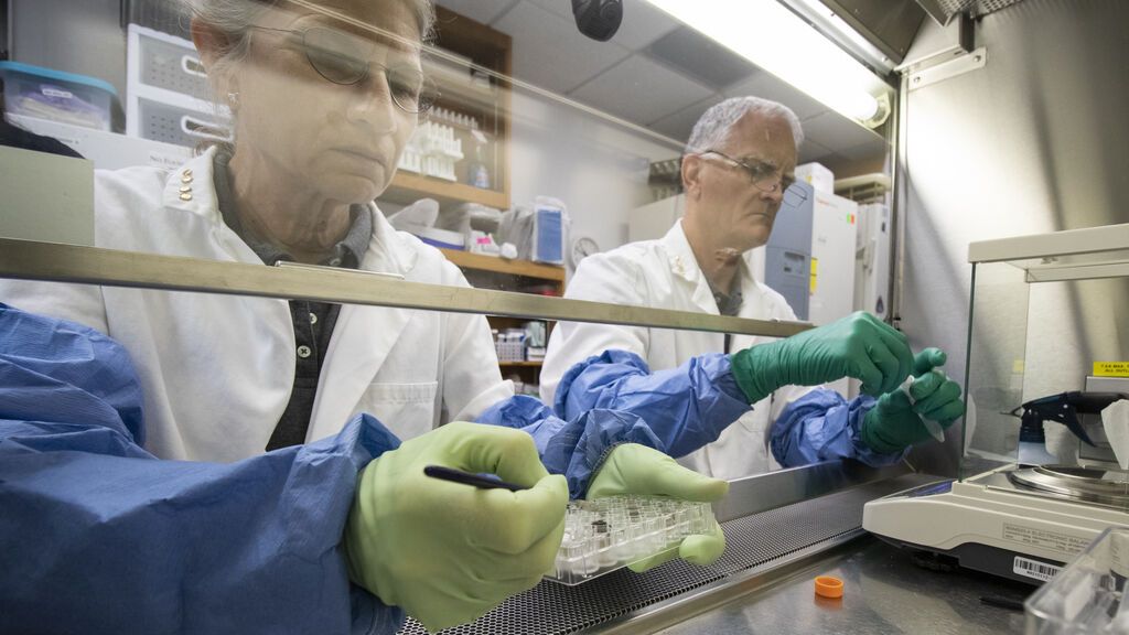 Anna-Lisa Paul, a la izquierda, y Rob Ferl, trabajando con los suelos lunares en su laboratorio.