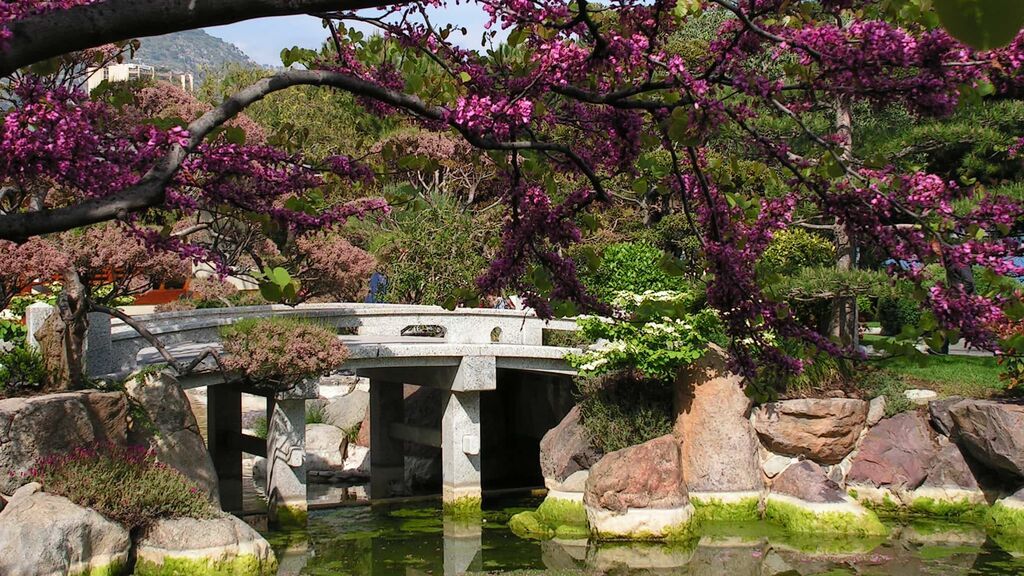 Los jardines japoneses tendrán que tener una zona de plantas y de agua.