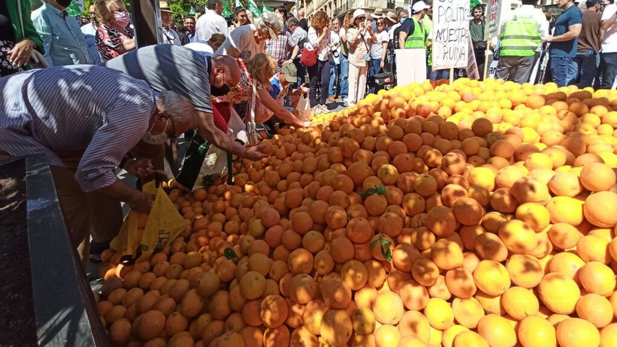 Los agricultores alicantinos se manifiestan en contra de los recortes del trasvase Tajo-Segura Los agricultores alicantinos se manifiestan en contra de los recortes del trasvase Tajo-Segura