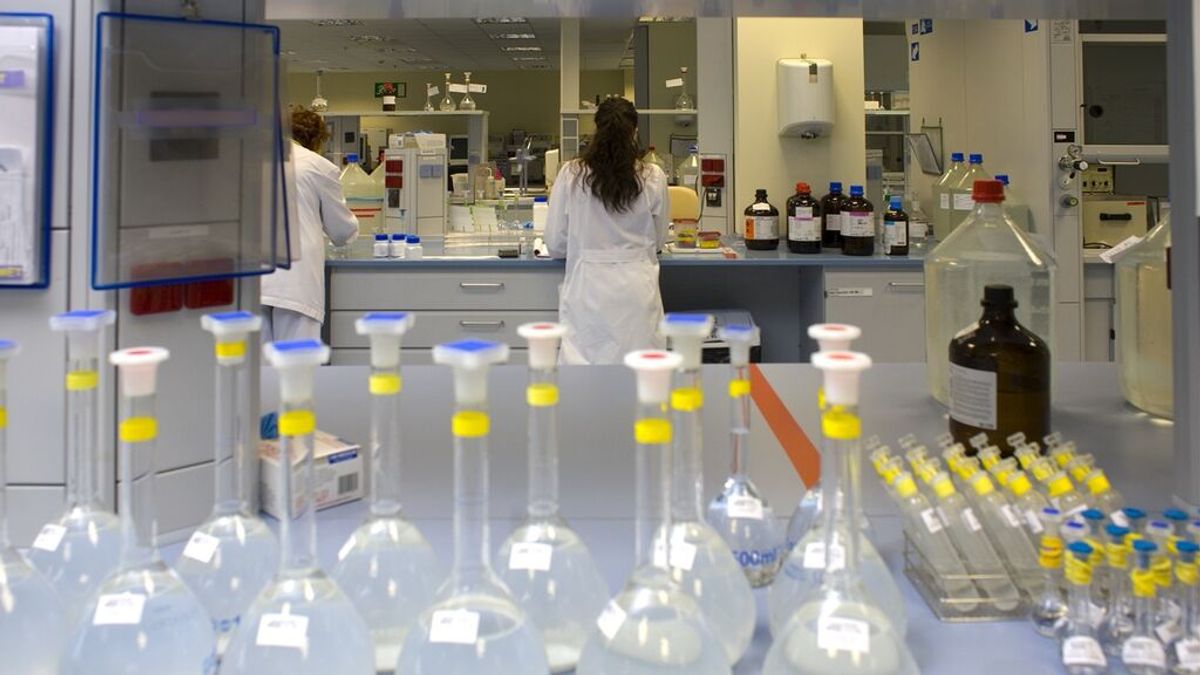 Sanidad investiga ocho contagios en humanos por viruela del mono en Madrid Sanidad investiga ocho contagios en humanos por viruela del mono en Madrid