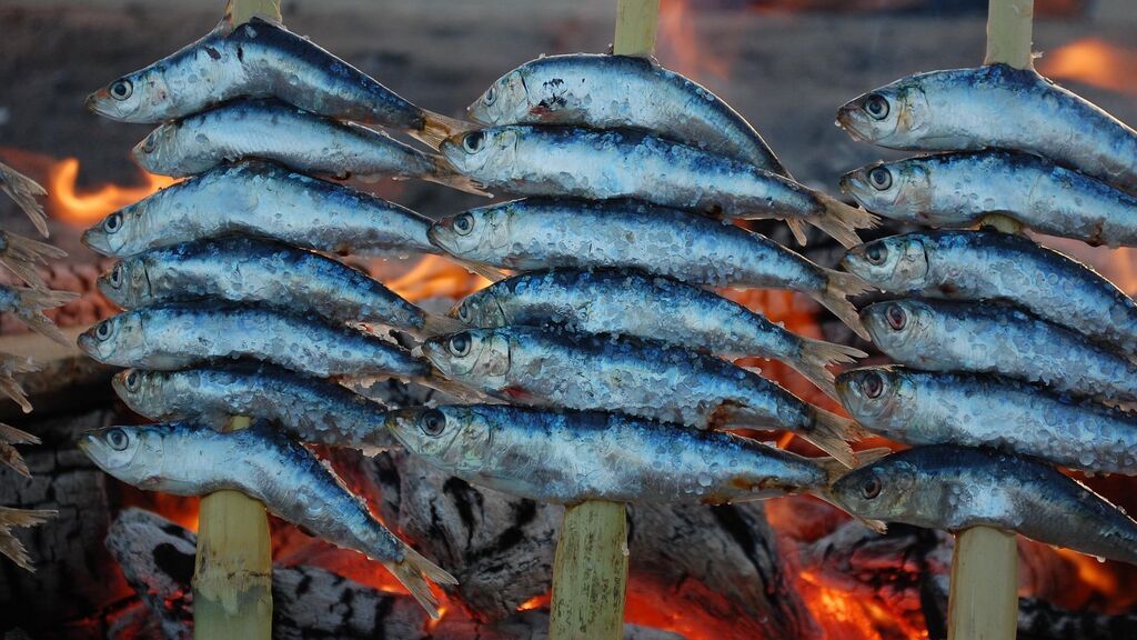 Sardinas, la nobleza azul del mar