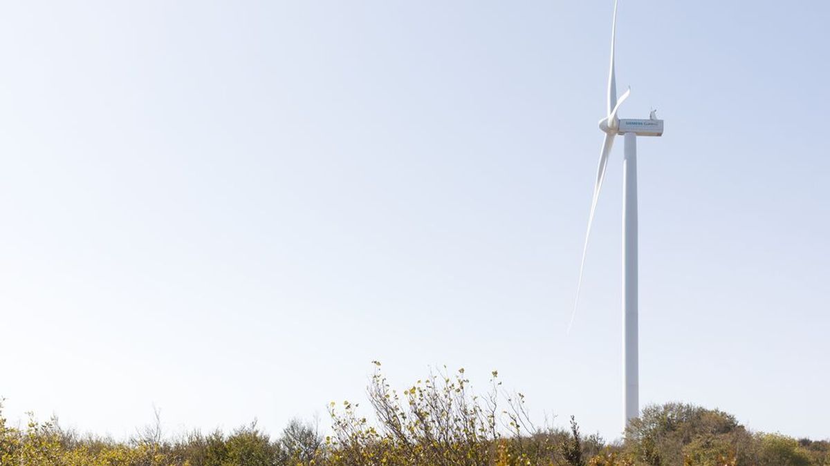 Turbina eólica de Siemens Gamesa Turbina eólica de Siemens Gamesa