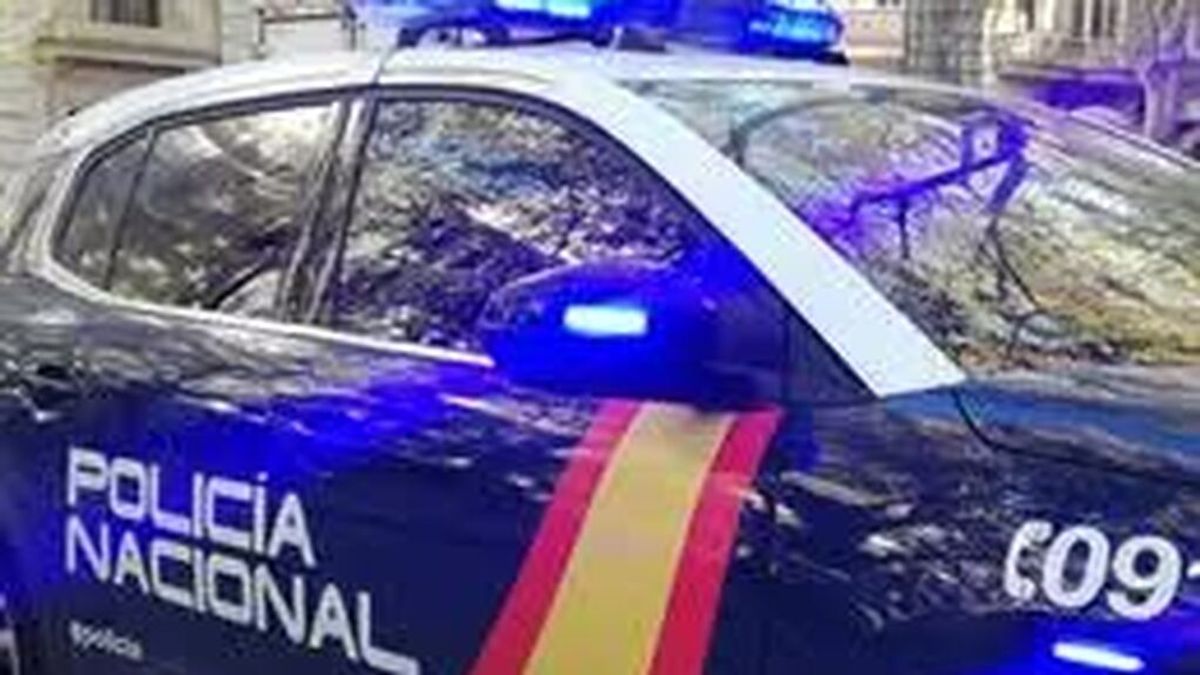 La desarticulación de una  organización internacional de narcotráfico entre España y Francia se salda con nueve detenidos