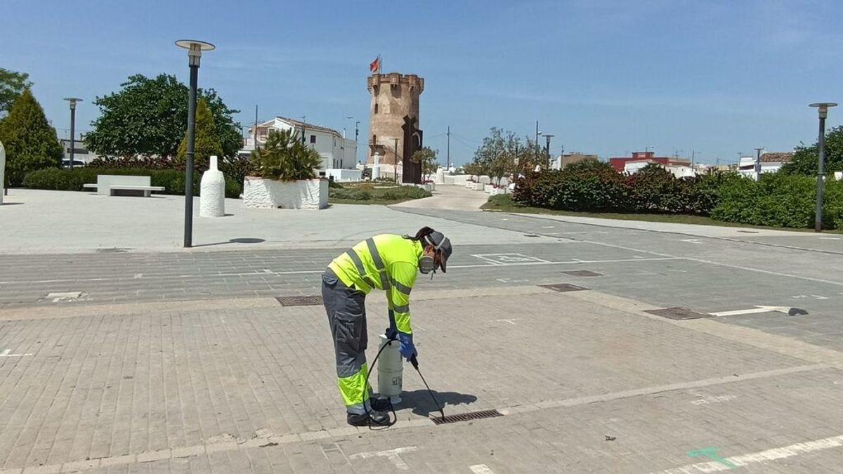 Paterna intensifica la campaña contra el mosquito tigre con una nueva técnica biológica y sin químicos Paterna intensifica la campaña contra el mosquito tigre con una nueva técnica biológica y sin químicos