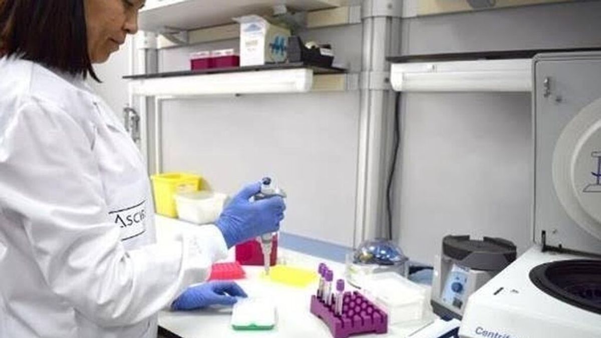 Una investigadora en un laboratorio Una investigadora en un laboratorio