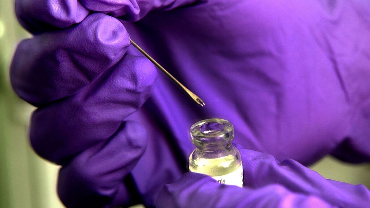Las vacunas de la viruela humana congeladas en España no están indicadas contra la del mono Las vacunas de la viruela humana congeladas en España no están indicadas contra la del mono
