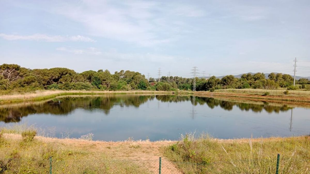Un niño de 9 años muere ahogado en una balsa de un campo de golf de Terrassa Un niño de 9 años muere ahogado en una balsa de un campo de golf de Terrassa