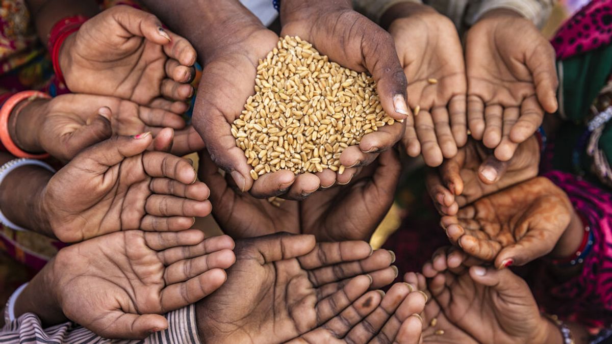Guerra, pandemia y cambio climático: la "tormenta perfecta" tras la crisis alimentaria global de la que alerta la ONU Guerra, pandemia y cambio climático: la "tormenta perfecta" tras la crisis alimentaria global de la que alerta la ONU