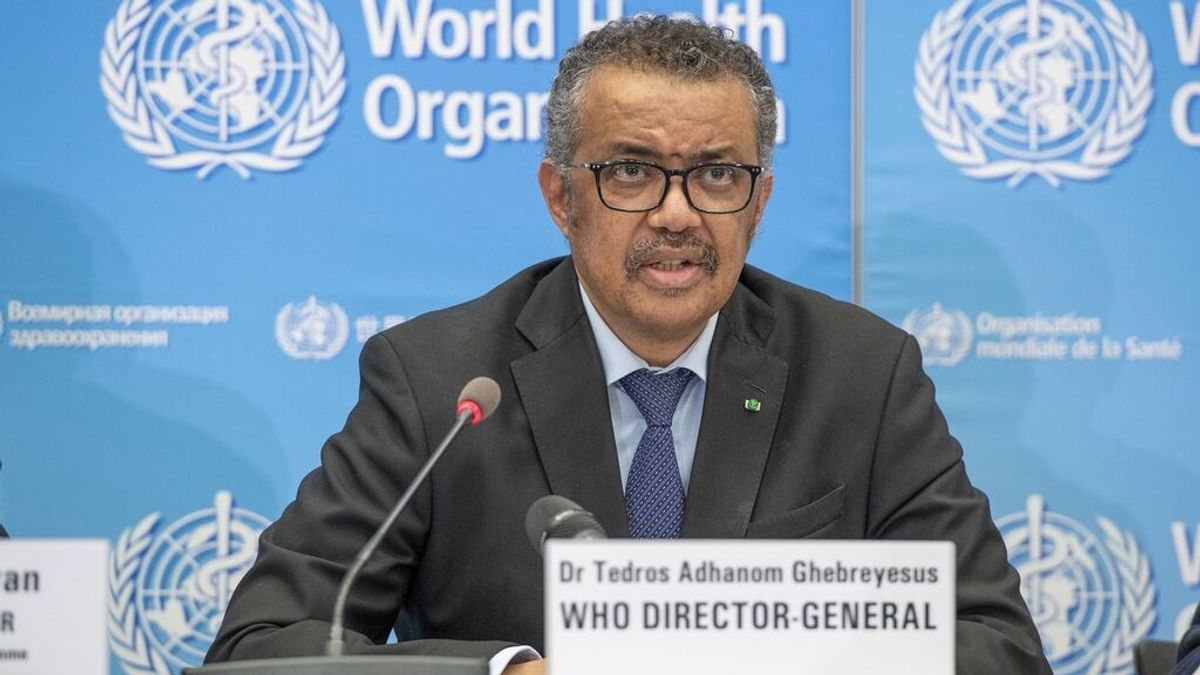 La OMS confirma más de 80 casos de la viruela del mono en más de una decena de países La OMS confirma más de 80 casos de la viruela del mono en más de una decena de países