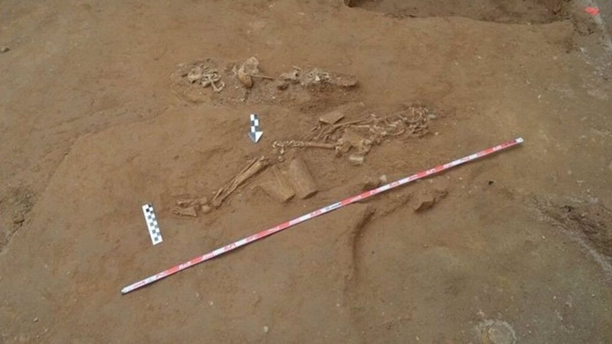 Descubren restos óseos de un joven del periodo almohade en un inmueble del casco histórico de Sevilla