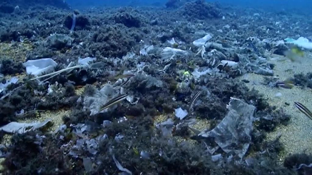 Las toallitas se mezclan con los plásticos y ahogan nuestros mares
