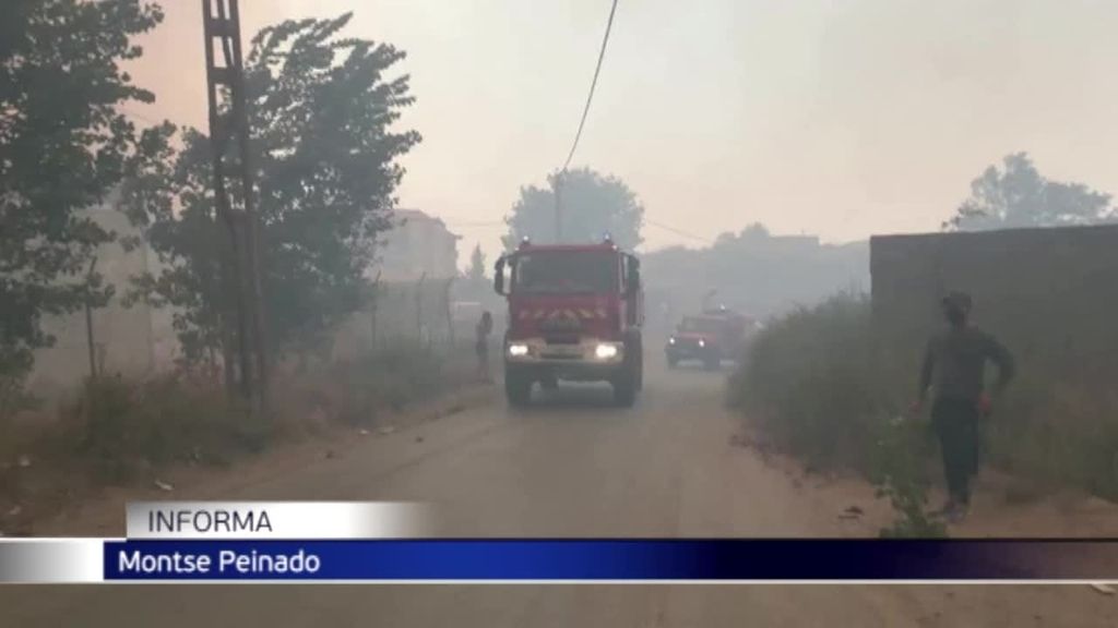Los incendios forestales dejan 42 muertos en Argelia