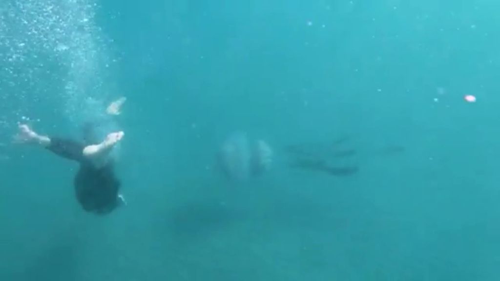 Nadando junto a una medusa gigante en aguas de Granada