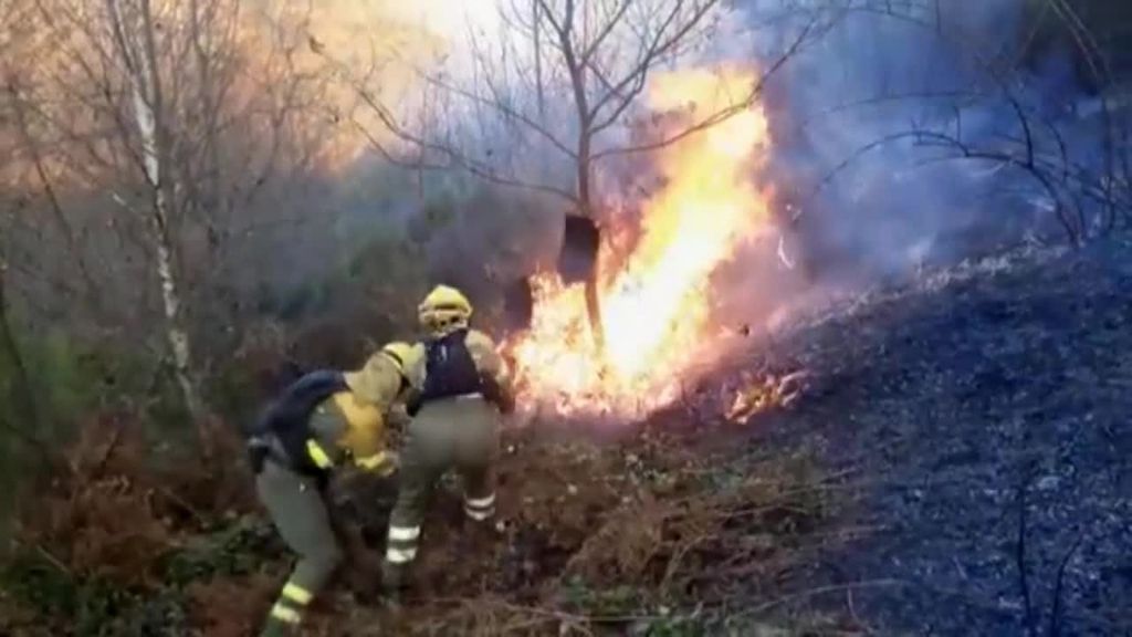 Denuncian que los incendios forestales de Asturias y Cantabria han sido provocados
