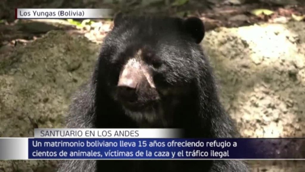 El matrimonio bolivariano que lleva 15 años ofreciendo refugio a animales contra el tráfico ilegal