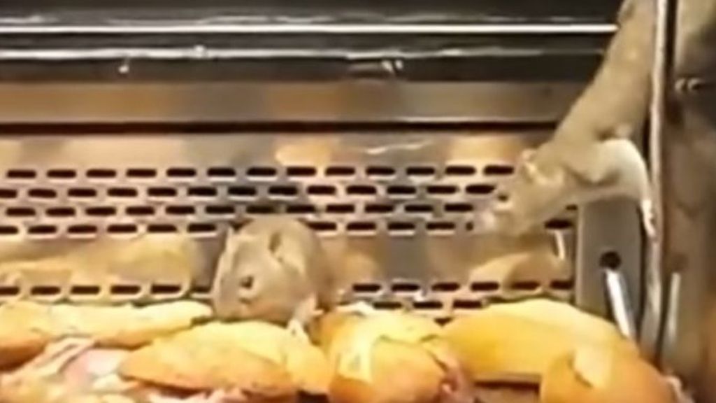 Ratas granier