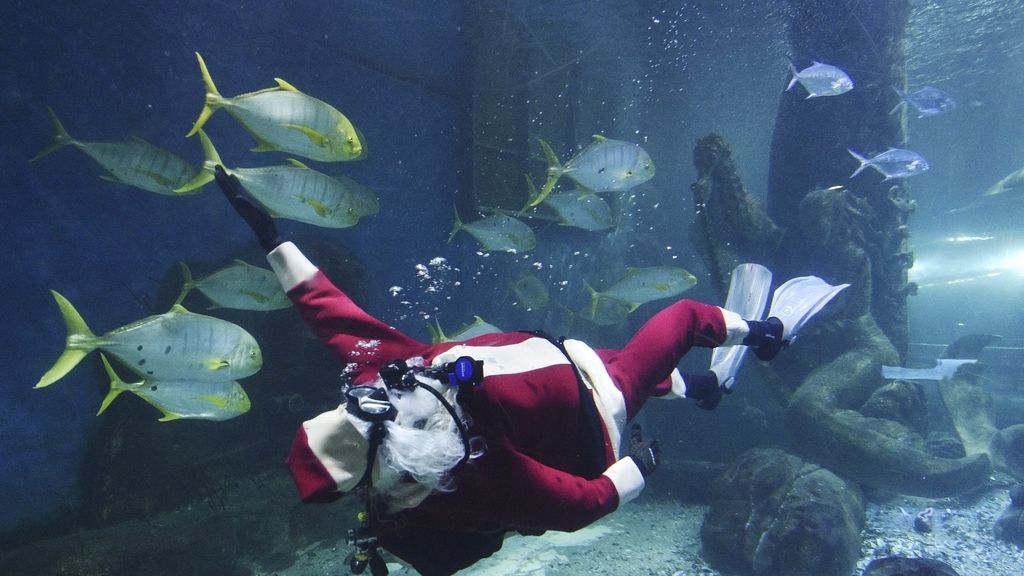 Navidad en el Acuario de Melbourne