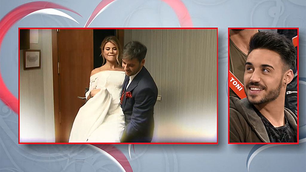 Una luna de miel en la Antártida