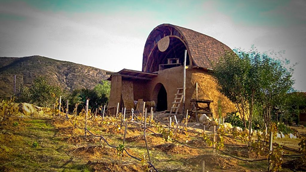Valle de Guadalupe, a la virgen le gusta el vino