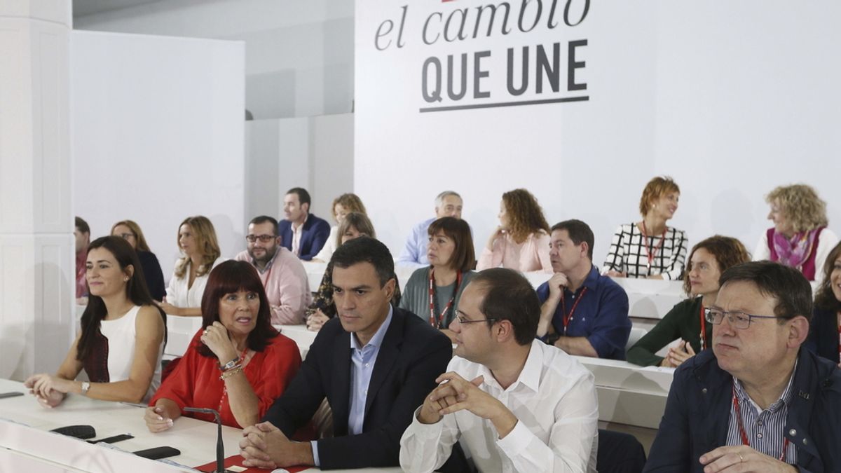 Comité Federal Del PSOE