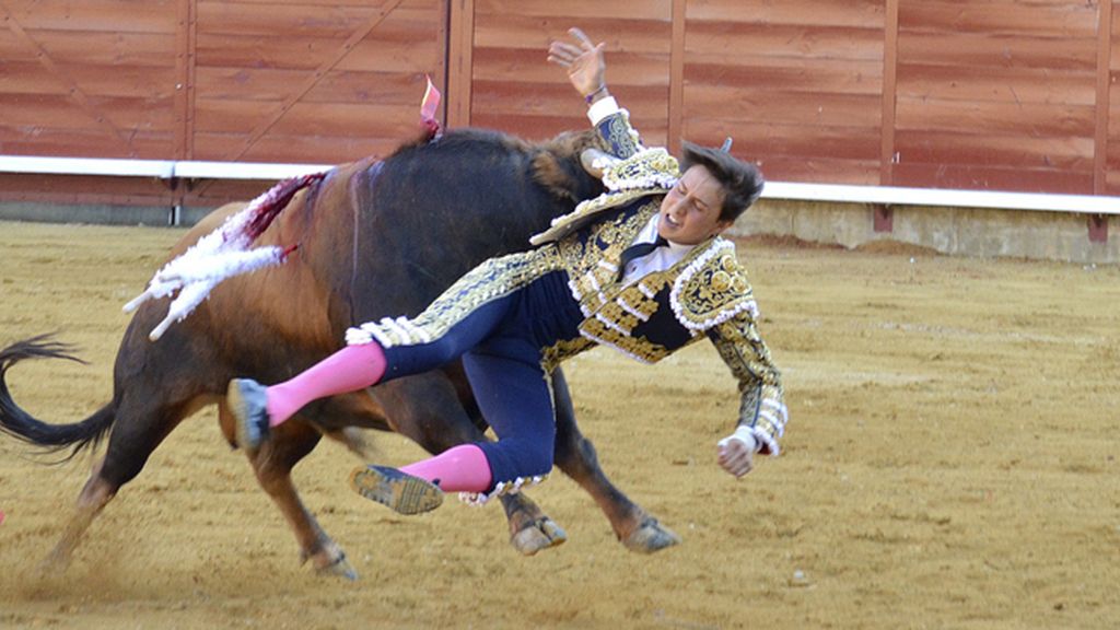 Fuerte cogida del torero Roca Rey en Palencia