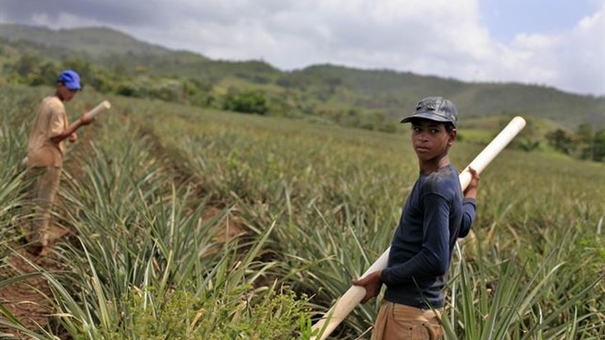Bolivia sitúa la edad mínima para el trabajo infantil en los 10 años