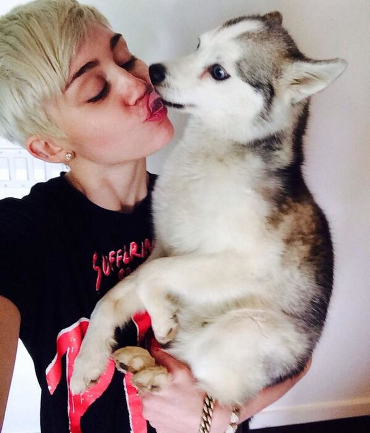 Muere Floyd, el perro de Miley Cyrus