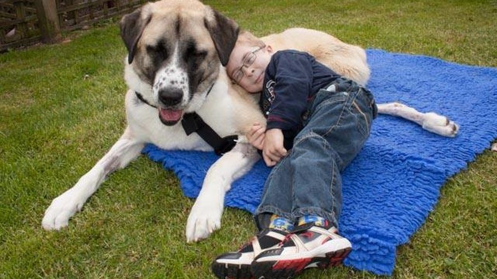 La increíble amistad entre un niño enfermo y su perro de tres patas conmueve a la Red
