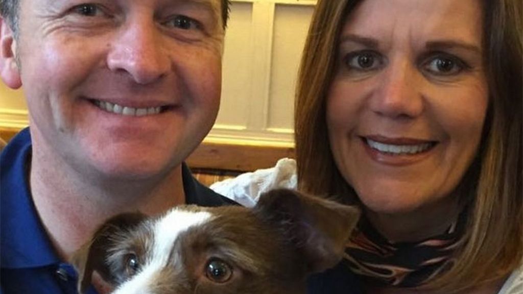 Lucy, la perra griega abandonada que 'adoptó' a una pareja de veraneantes