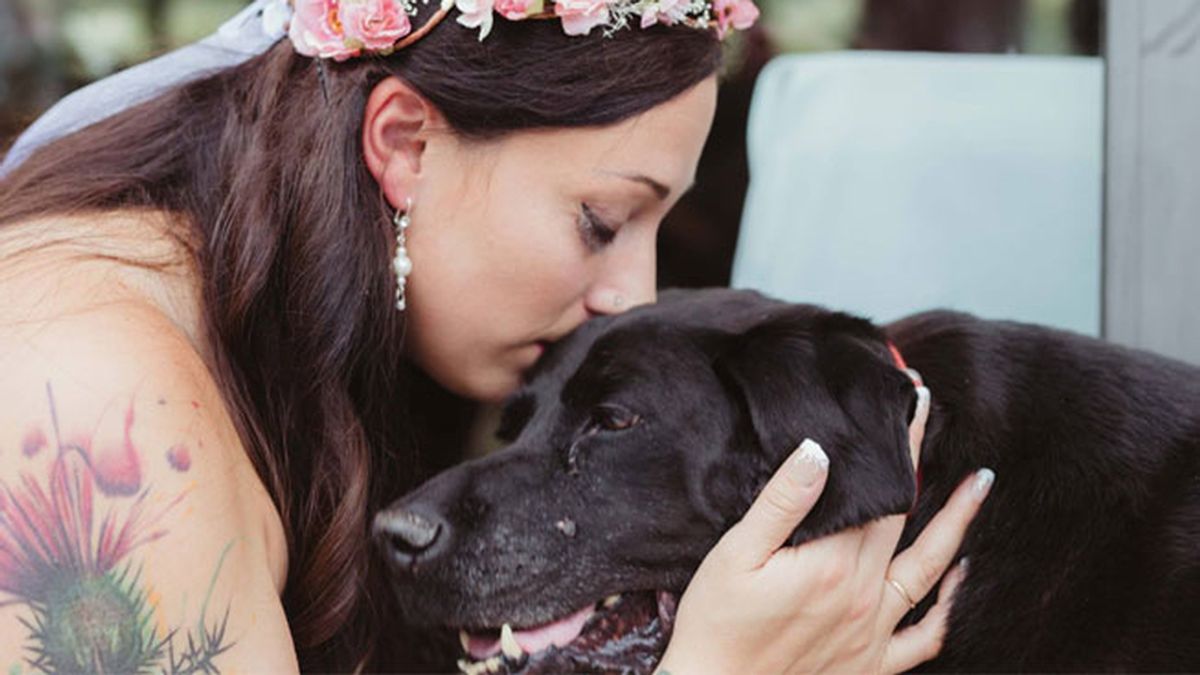 Un perro con tumor cerebral muere después de asistir a la boda de su dueña