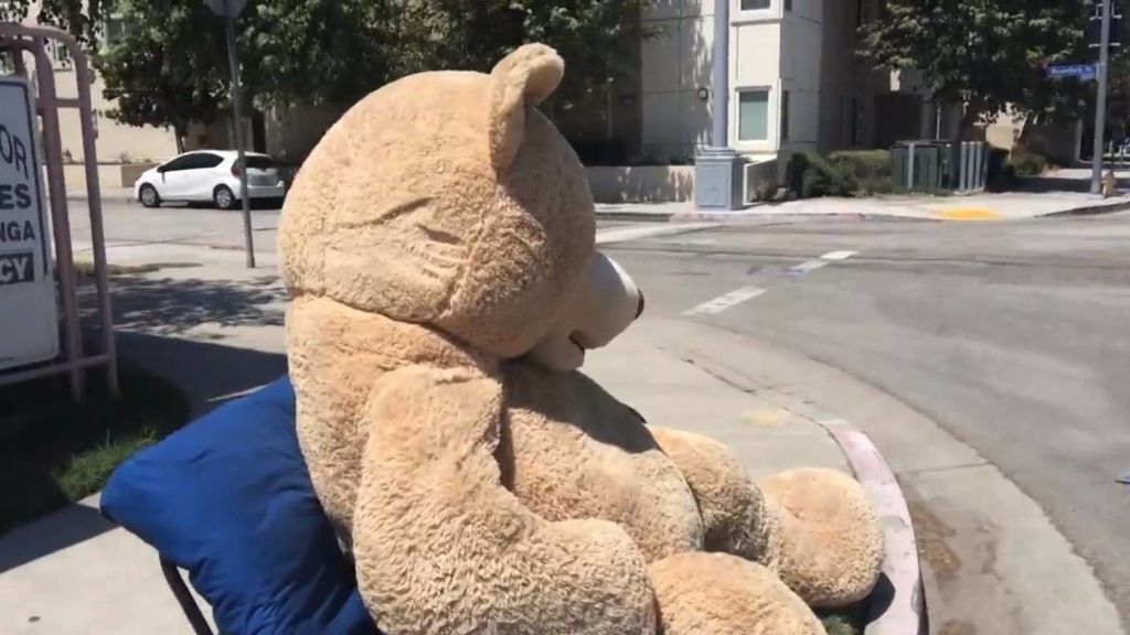 oso