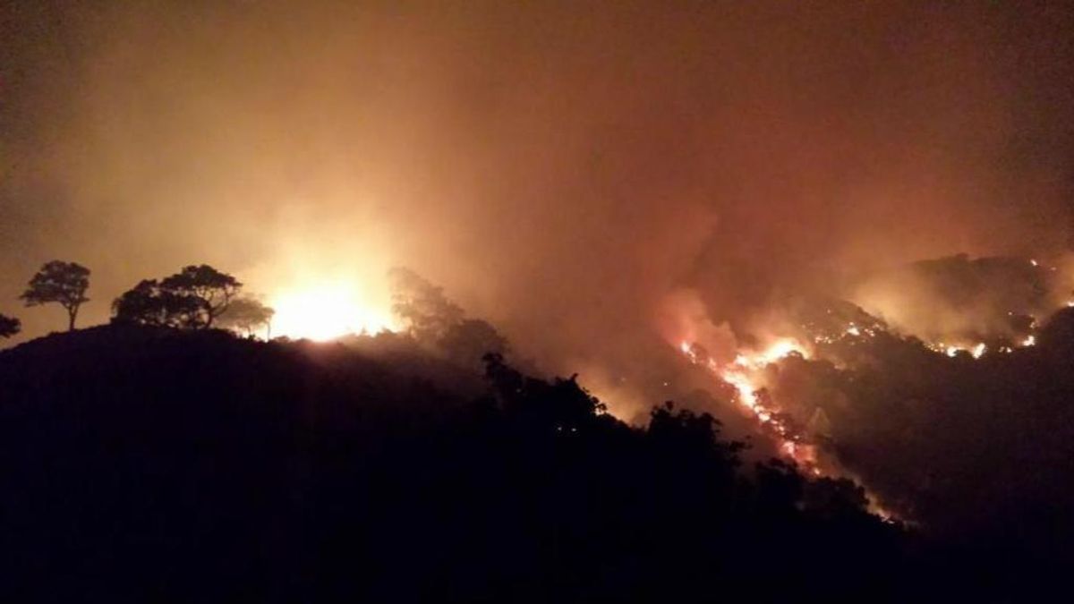 Los bomberos luchan contra las llamas en Algeciras