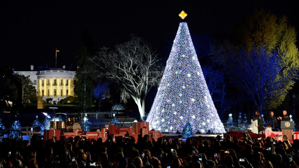 Los árboles de Navidad del mundo en imágenes
