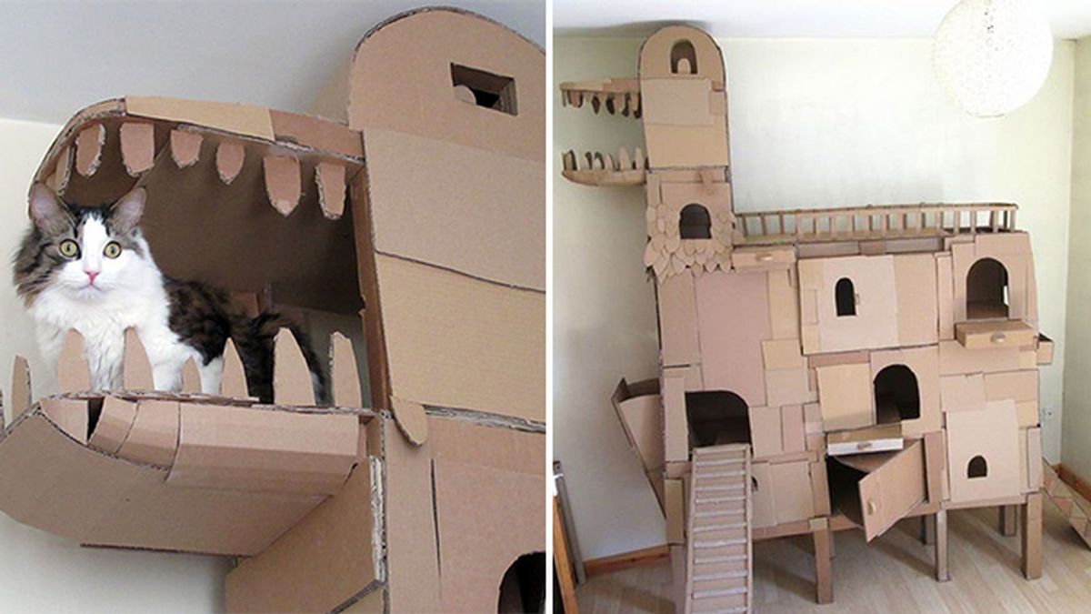 La envidia del reino animal: Un gato con su propio castillo