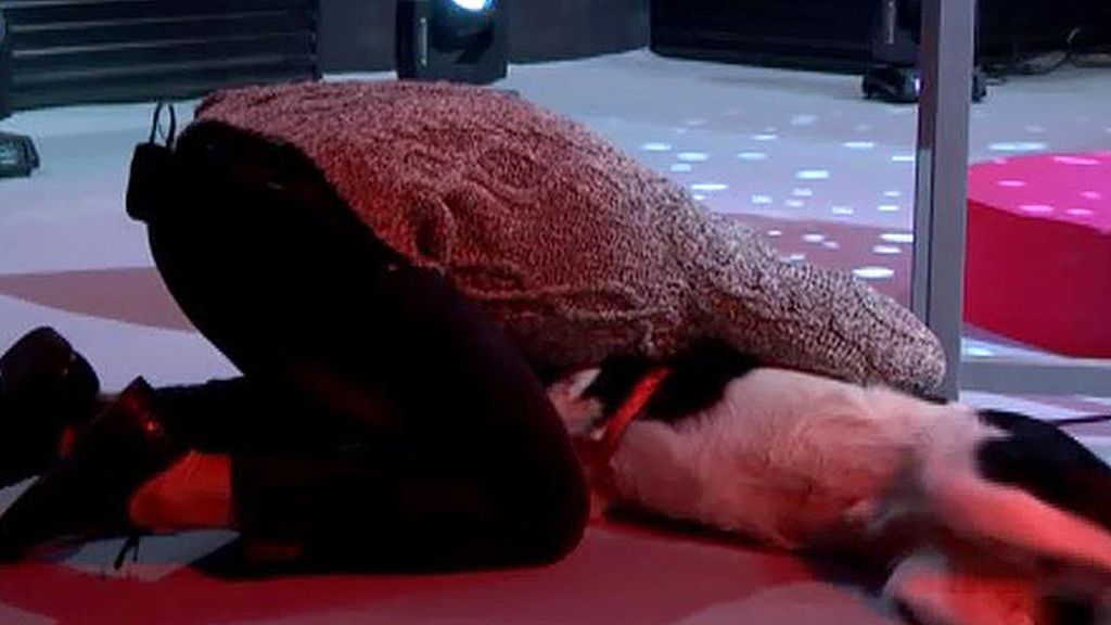 Los concursantes de 'GH 17' se reencuentran con los suyos