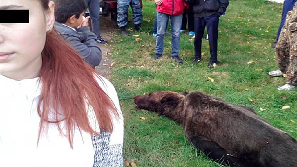 Directora de una escuela permite a sus alumnos acercarse al cadáver de un oso